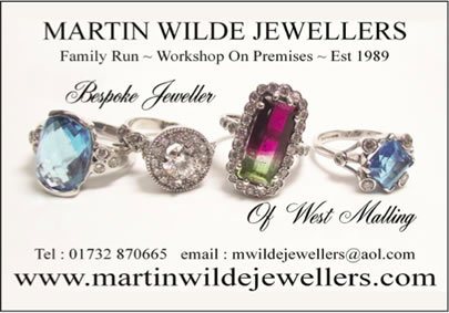 martin-wilde